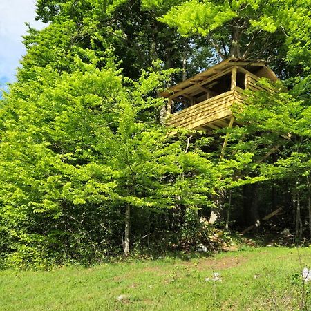 Apartments Matovina Saborsko Zewnętrze zdjęcie